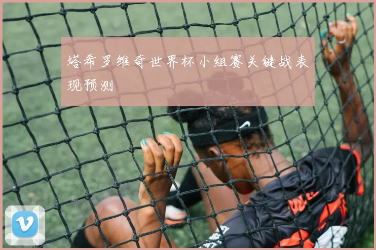 塔希罗维奇世界杯小组赛关键战表现预测