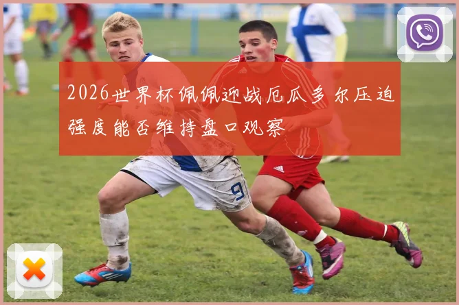 2026世界杯佩佩迎战厄瓜多尔压迫强度能否维持盘口观察