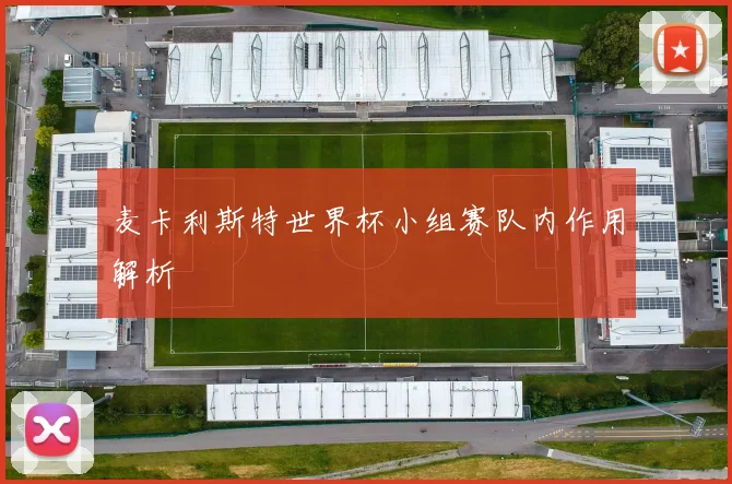麦卡利斯特世界杯小组赛队内作用解析